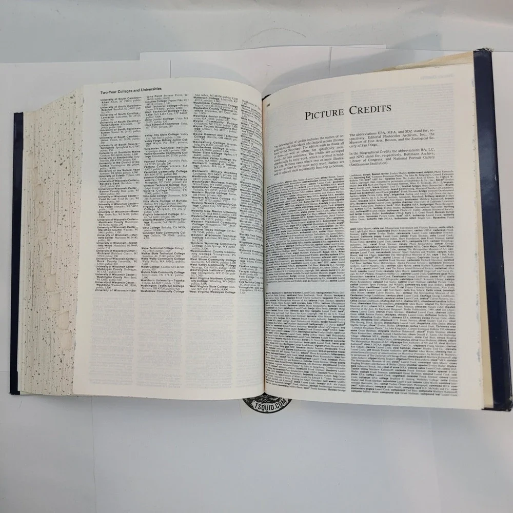 Houghton Mifflin American Heritage Dictionary Second College Edition Hardcover